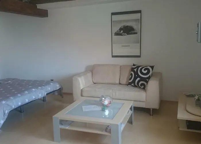 Apartment Regensburg شقة ريغنسبورغ