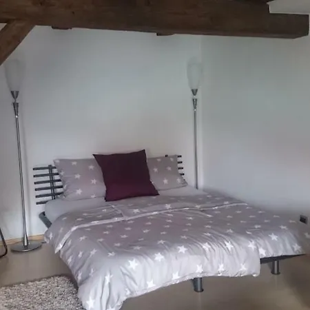 Apartment Regensburg شقة ريغنسبورغ